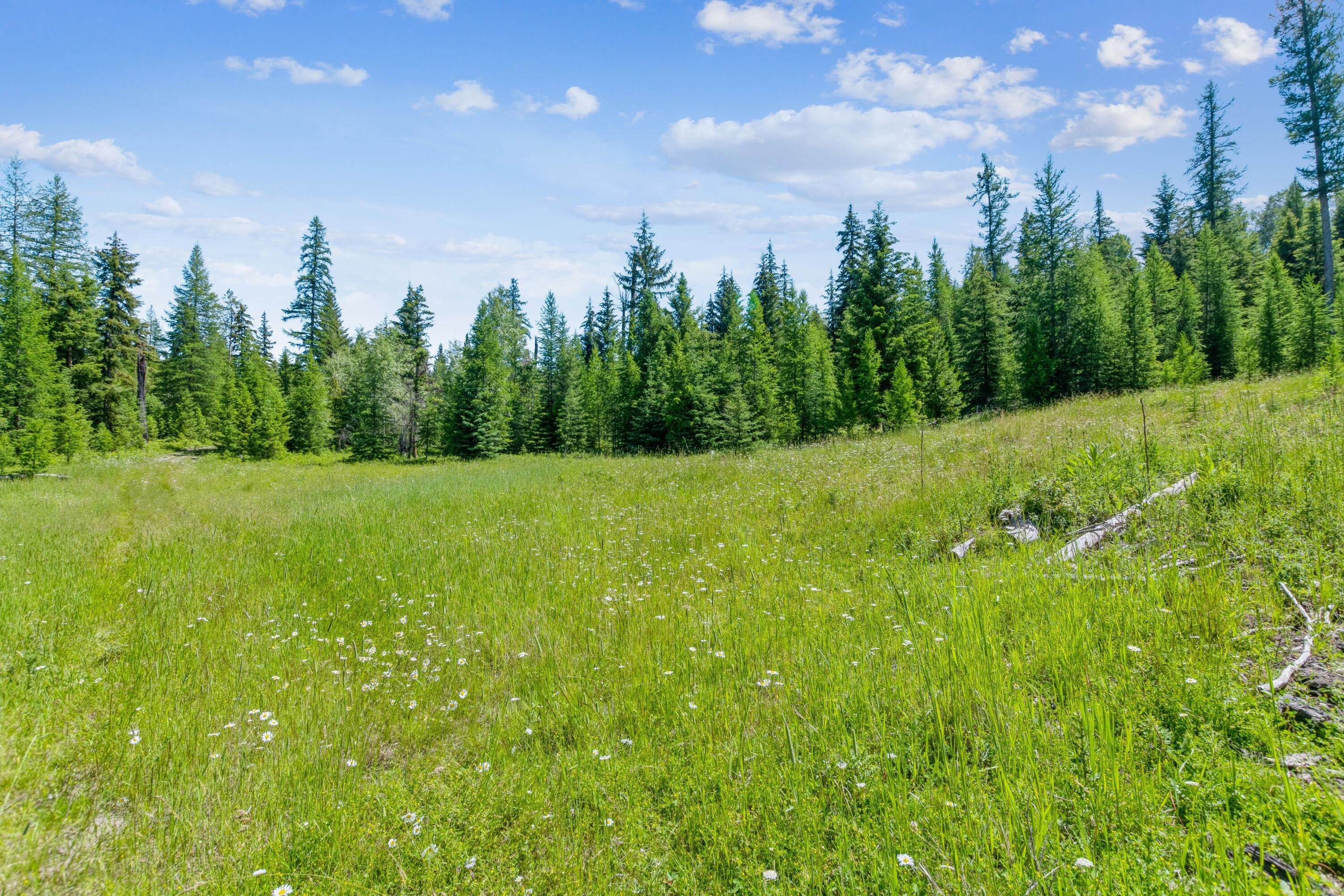 3. Land for Sale at Pinkham Creek Road, Rexford, Montana 59930 United States