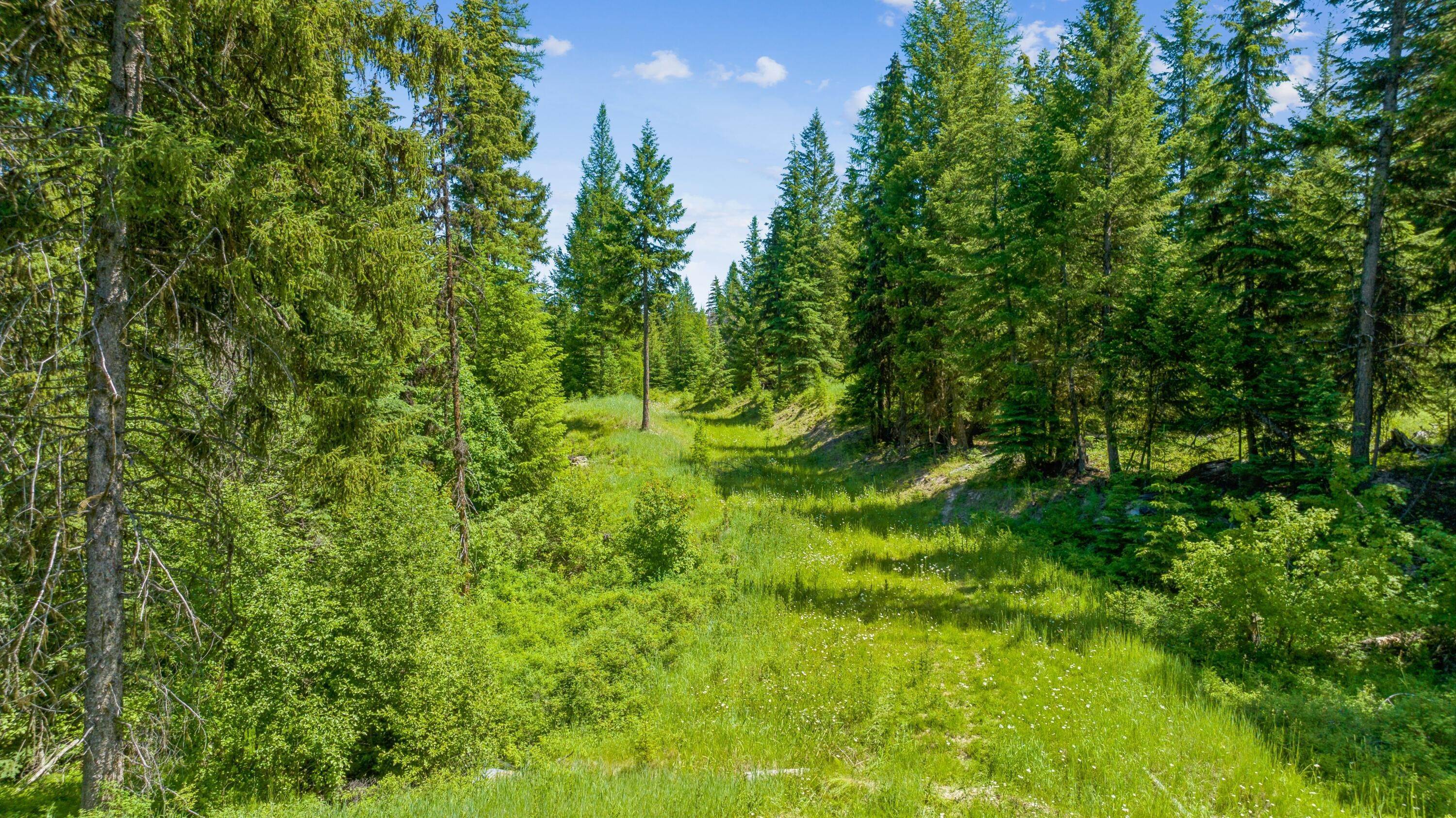 7. Land for Sale at Pinkham Creek Road, Rexford, Montana 59930 United States